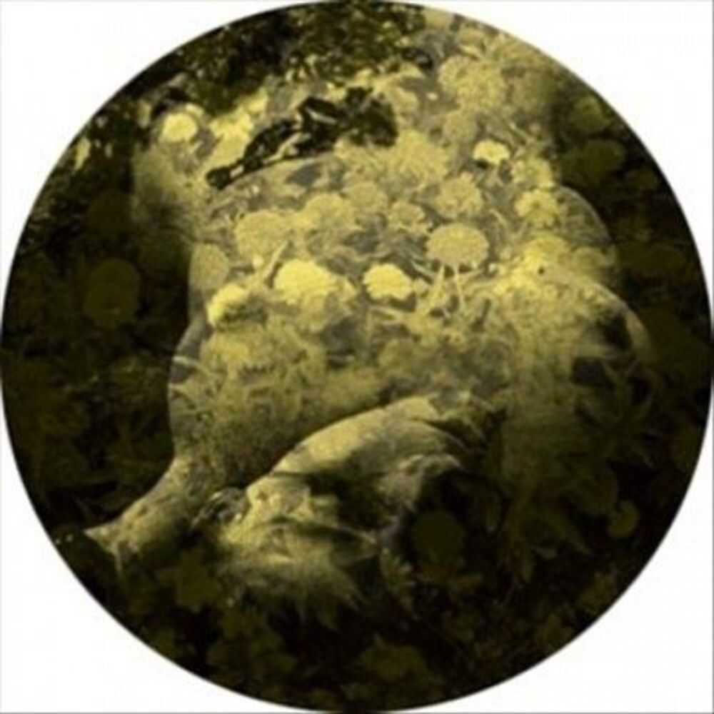 Salva - Yellobone  12-INCH SINGLE